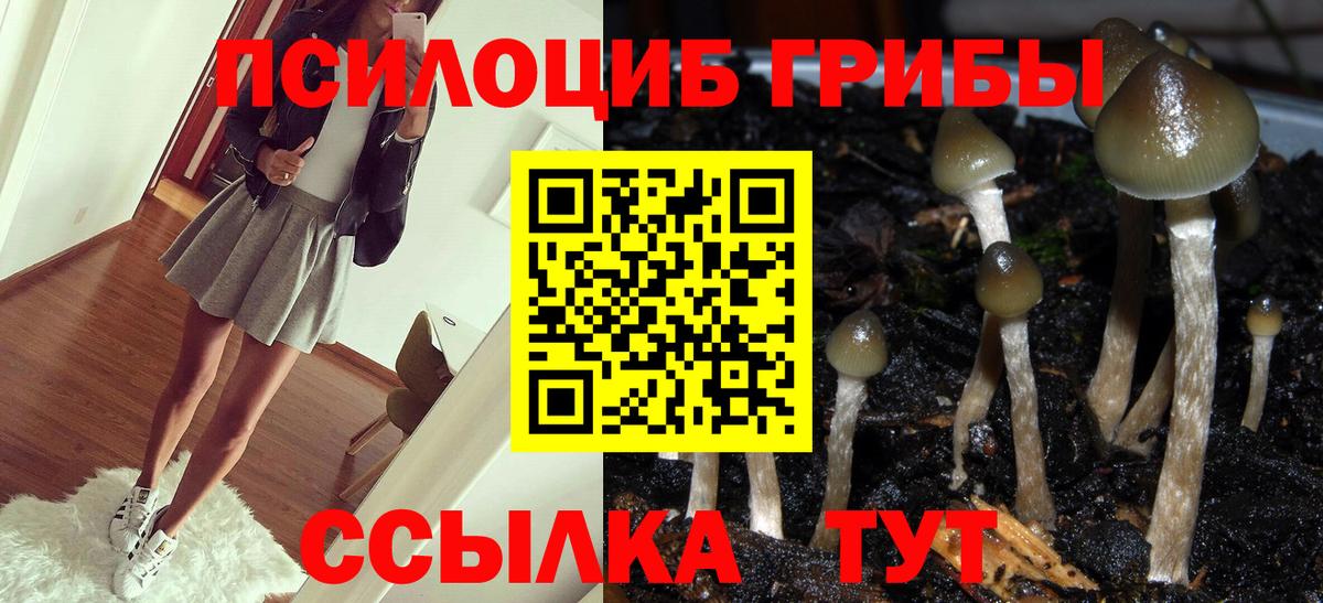 Верхняя Салда  Псилоцибиновые грибы Psilocybe  Вход с VPN  Галлюциногенные грибы мицелий 