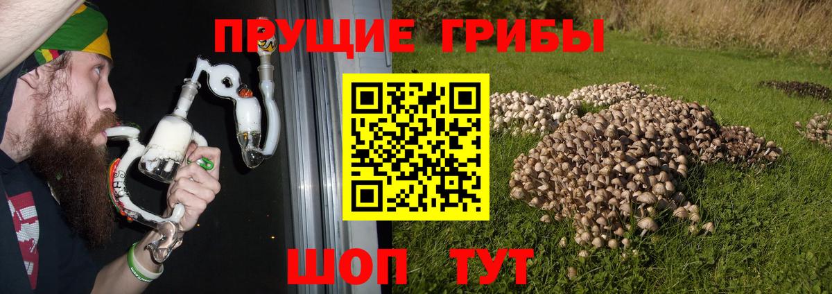 Галлюциногенные грибы мухоморы Верхняя Салда